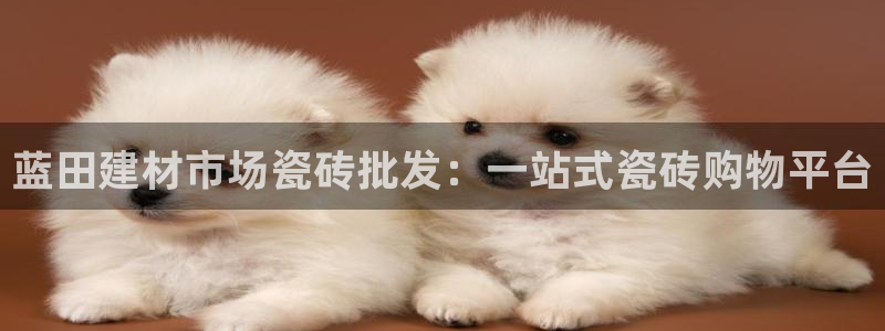 杏鑫娱乐平台登录注册网站