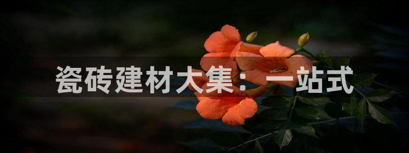 杏鑫注册平台官方网站入口