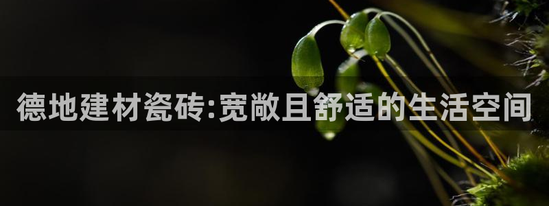 杏鑫平台代理注册流程