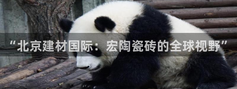 杏鑫代理注册资金多少