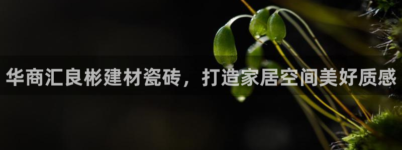 杏鑫官方平台怎么样啊可靠吗