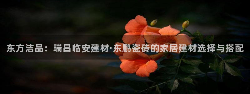 杏鑫平台念7O777