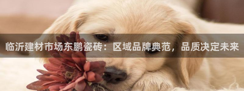 杏鑫平台怎么样黑钱吗安全吗是真的吗