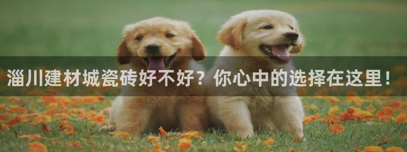 杏鑫平台下载安装