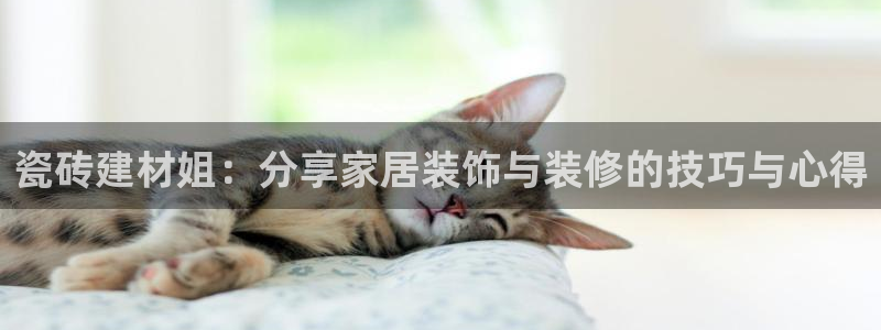 杏鑫平台正规吗是真的吗