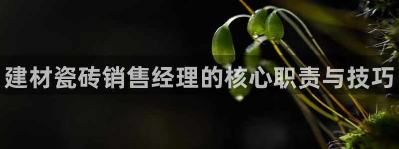 杏鑫平台代理注册多少钱啊