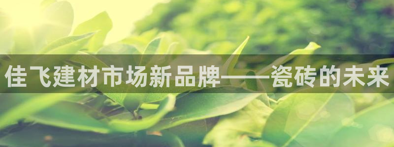 杏鑫平台代理注册流程图