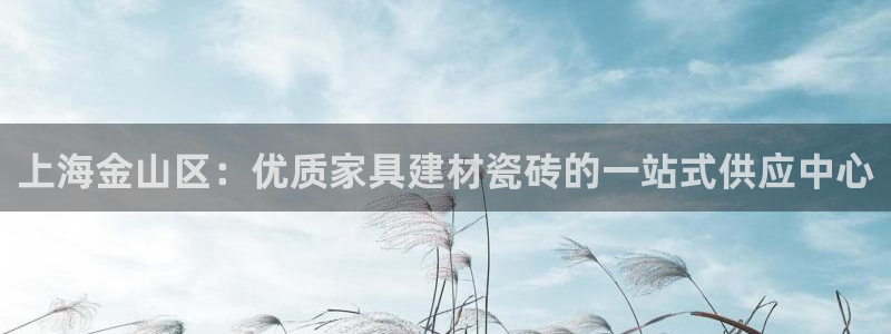 杏鑫娱乐多少年了