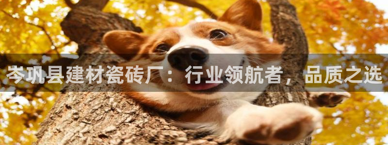 杏鑫娱乐官网首页