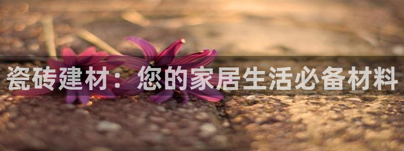 杏鑫平台注册入口在哪里找