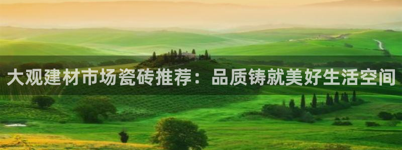 杏鑫娱乐开发团队