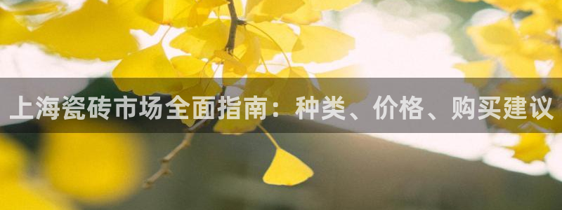 杏鑫平台野马联盟