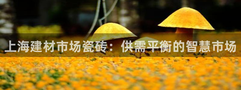 杏鑫平台招商电话是多少