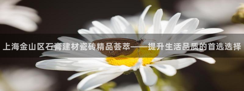 杏鑫代理注册
