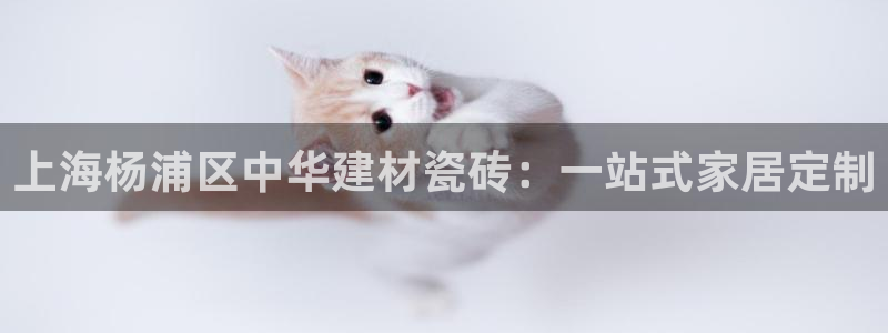 杏鑫官网