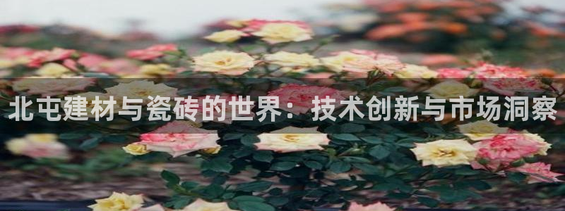 杏鑫平台官方网站