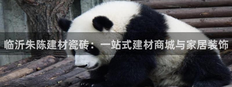 杏鑫平台念7O777