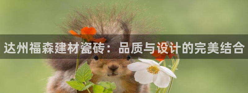杏鑫官网注册账号密码是什么