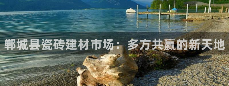 杏鑫平台平台